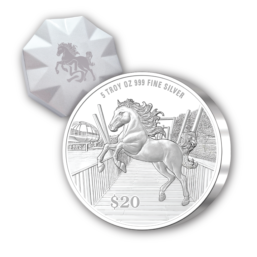5 troy oz Silver Coin